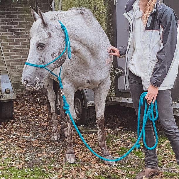 Rope Halter PPM with 4M Lead Rope for Natural Horsemanship