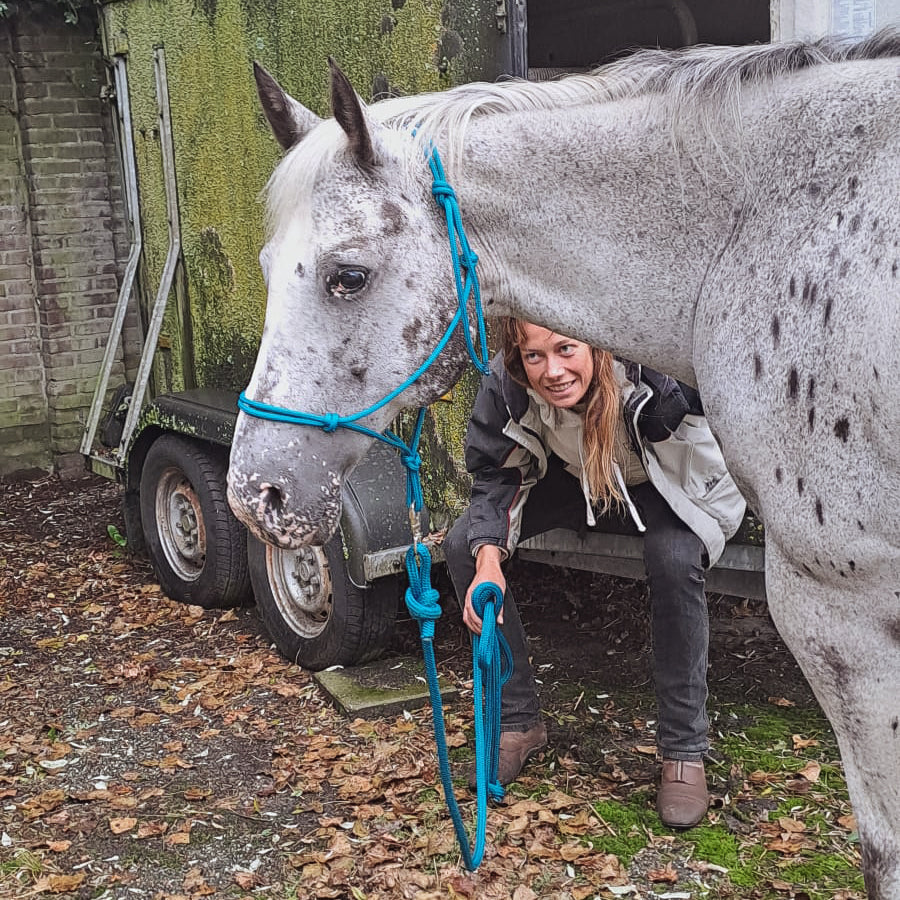 Rope Halter PPM with 4M Lead Rope for Natural Horsemanship